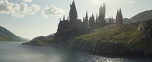 0544a3ca1394e8543867d4dd0bf517c0