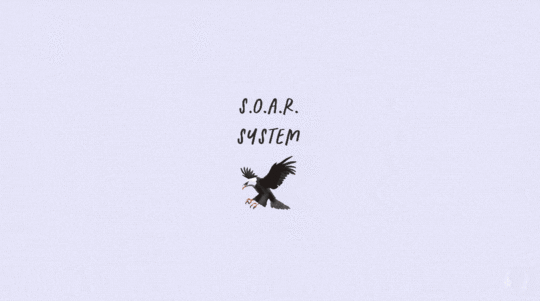 Notion S.O.A.R. System