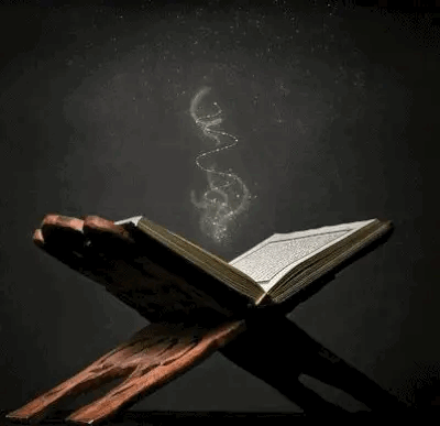 The Magical Book GIF | Bruxas