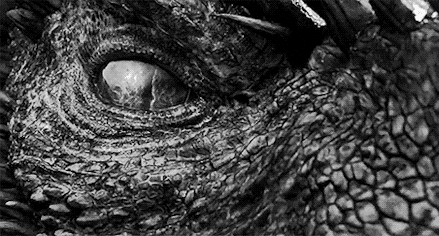 joinesgifimage-7661323