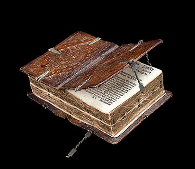 Timely-Wiggly-Fieldmouse-size-restricted