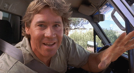 Steve Irwin Wink GIF - Find & Share on GIPHY