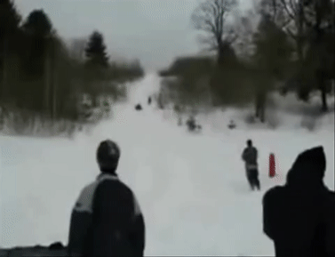 Bluewatchfulbudgie-size_restricted