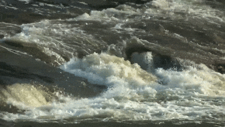Best Rapids W GIFs | Gfycat