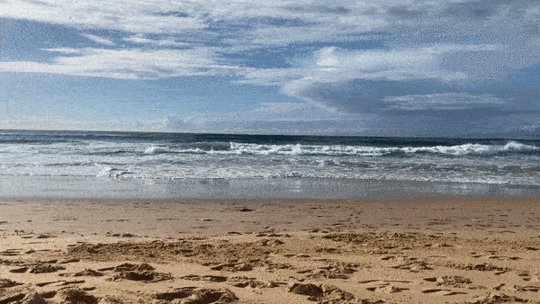 ocean water sydney
