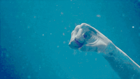 fd0f4561161046d2d6f246ae87559795