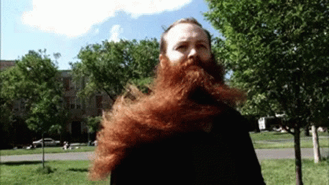 Beard Alone GIF - Beard Alone GIFs