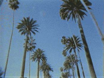 los angeles la GIF by vhspositive