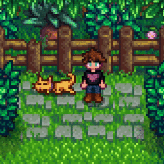Valentinandsean Stardew Valley GIF - Valentinandsean Stardew Valley Cat GIFs