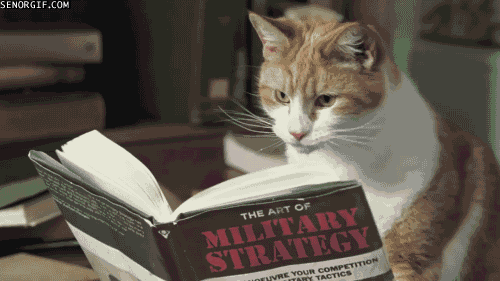 browsing a military strategy book