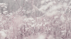 LadyCookieCupcake | Hogwarts Mystery Amino Amino