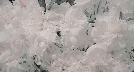 v. flowers ( gif hunt ) - Album on Imgur