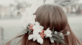 900+ Gifs. ideas | aesthetic gif, wattpad, gif