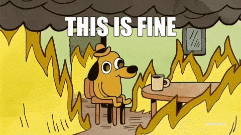 A dog with a hat sits in a room on fire with coffee before them, with the text THIS IS FINE