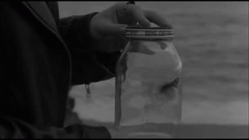 Bonita playa black and white GIF on GIFER - by Mudred