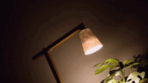 Lamp Plant GIF - Lamp Plant Dark - Discover & Share GIFs