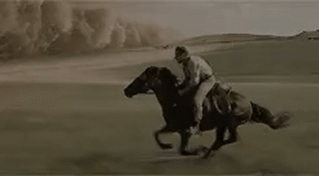 Glistening-Demanding-Gelding-size-restricted