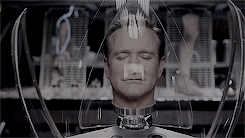 tumblr-o9hcypc-Zkg1rob81ao5-r1-250