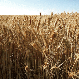 tumblr-630c75562db44f6159674f74055913d9-868cc9fa-400