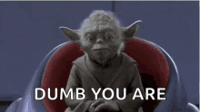 Dumb You Are Yoda GIF - Dumb You Are Yoda Star Wars GIFs