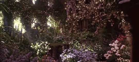 GIF of a garden filled with flowers