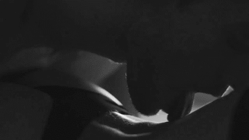 tumblr_oygbvz04BT1v99polo1_500