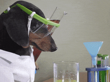 Run your business like a dog scientist