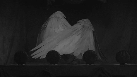 Fandom Enthusiast — GIFS: Angels/Wings