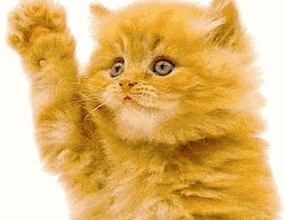 Photoshopped cat waving goodbye