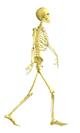 halloween-skeleton-3