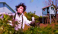 pruning - can't innovate