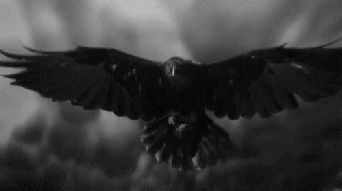 Crow Monster Ever After 5 By Layla Fae Goodreads Crow Monster Ever After 5 By Layla Fae Goodreads