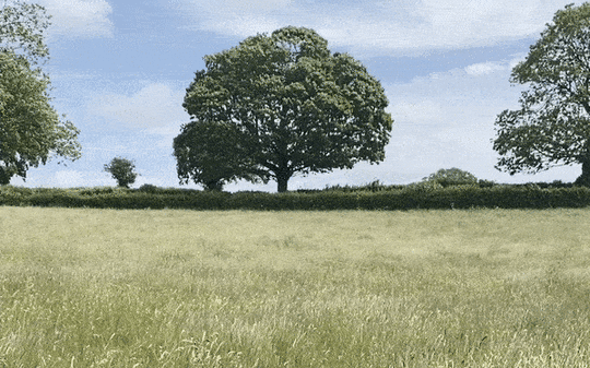 the winds of change
