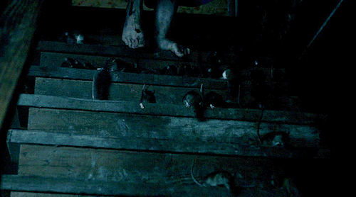 tumblr-5cb81463e402a905de5d874753b95325-54859676-500