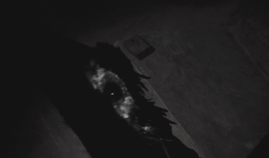 68747470733a2f2f73332e616d617a6f6e6177732e636f6d2f776174747061642d6d656469612d736572766963652f53746f