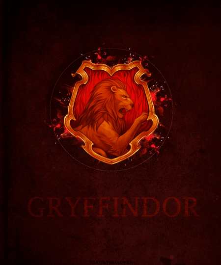Harry Potter Fan Site