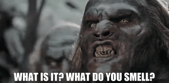 What is it? What do you smell? Cinnamon Rolls