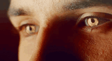 Gold Eyes GIFs | Tenor