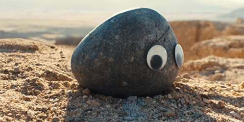 Pet Rock GIFs | Tenor