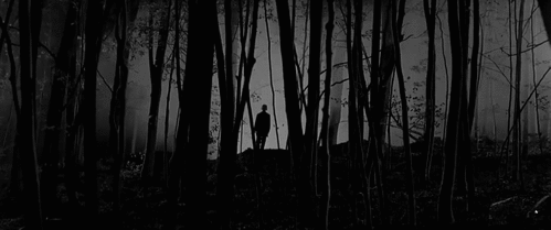 tumblr_3a03042b3f137ca424890e678bd9e46e_ce7f6664_500