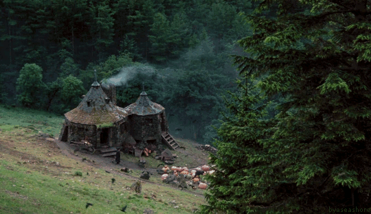 New post on chardonette | Harry potter, Harry potter gif, Hagrids hut