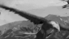 ezgif-com-resize-imageonline-co-3665243