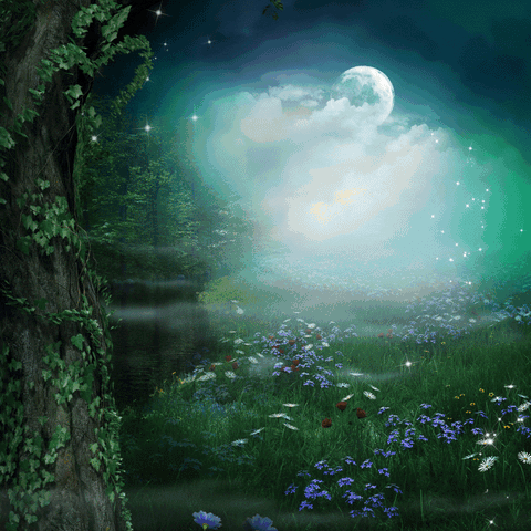 Hawt Flash Paranormal Women's fiction by Blair Bryan