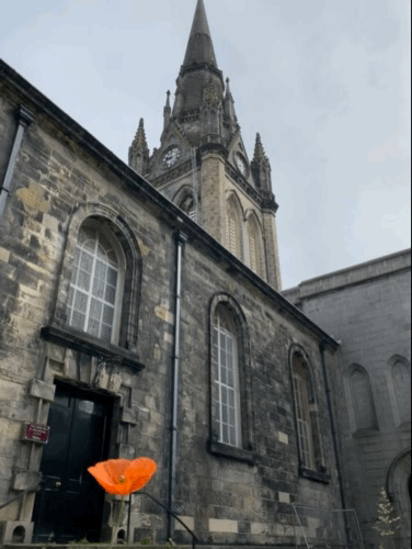 poppy below the steeple of St Nicholas Kirk in Aberdeen