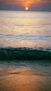 A gif of a stock image sea view. A sunset is in the sky and the wave is pooling on the beach. The caption says, Happy August.