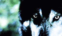 ezgif-com-gif-maker-1-imageonline-co-4640357