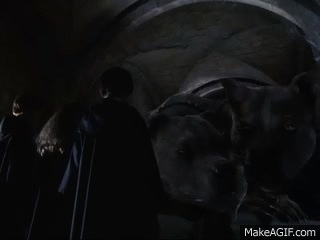 descrizione immagine