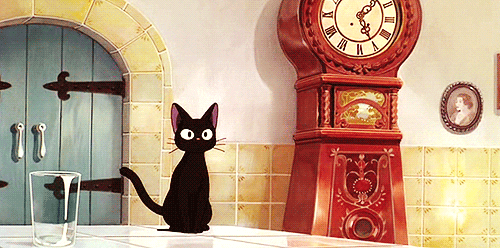 a cat impatiently checking a clock every second