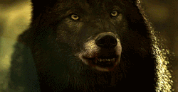 r-Ty4-Bmok-KOs-J-imageonline-co-5534168-ezgif-com-effects-1