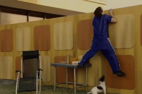 Idiocracy Balls GIF - Idiocracy Balls GIFs